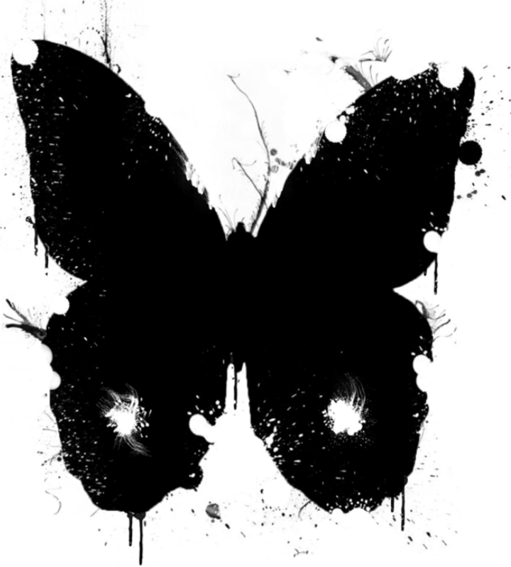 Powered by Foswiki, The Free and Open Source Wiki